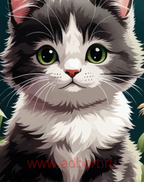 ������� �� ������� 40*50 �� ������ �� ���������� ����� � �� 